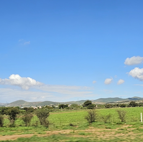 Life Is Good¡! - Picture 1 of 1